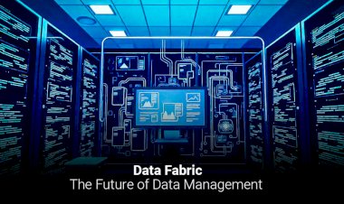 Data Fabric: The Future of Data Management