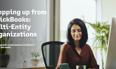 Stepping up from QuickBooks: Multi-Entity Organization