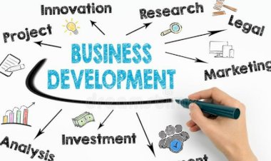 Driving Growth Through Strategy – The Evolving Role of Business Development
