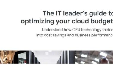 The IT Leader's Guide to Optimizing Your Cloud Budget