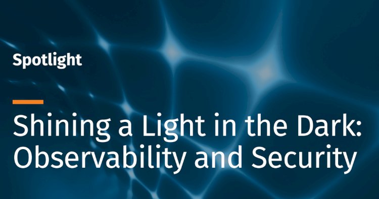 Shining a light in the dark: observability and security, a SANS profile